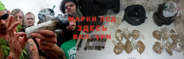 дживик Алзамай