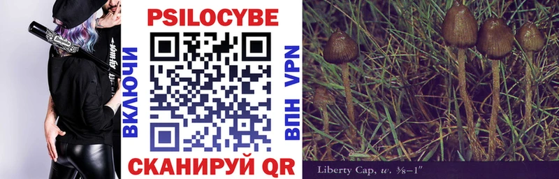 Псилоцибиновые грибы Psilocybe  как найти наркотики  Сасово 